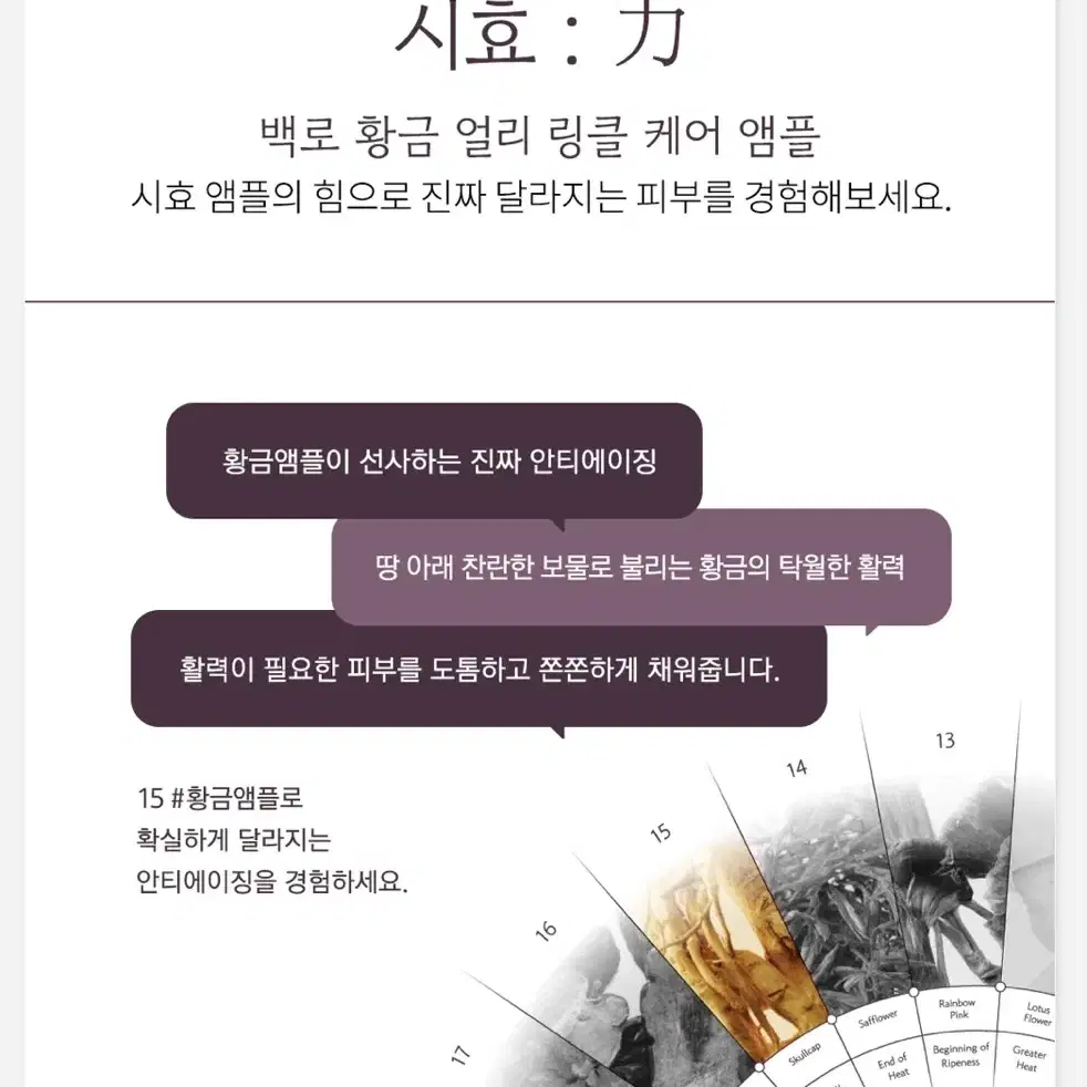 (무료배송) 시효 15번 백로 황금 얼리 링클 케어 앰플 20ml 탄력