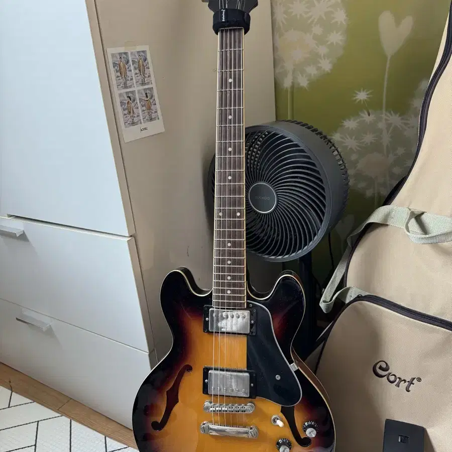 Epiphone 339 세미할로우 일렉기타+Evanskelley 기타 케