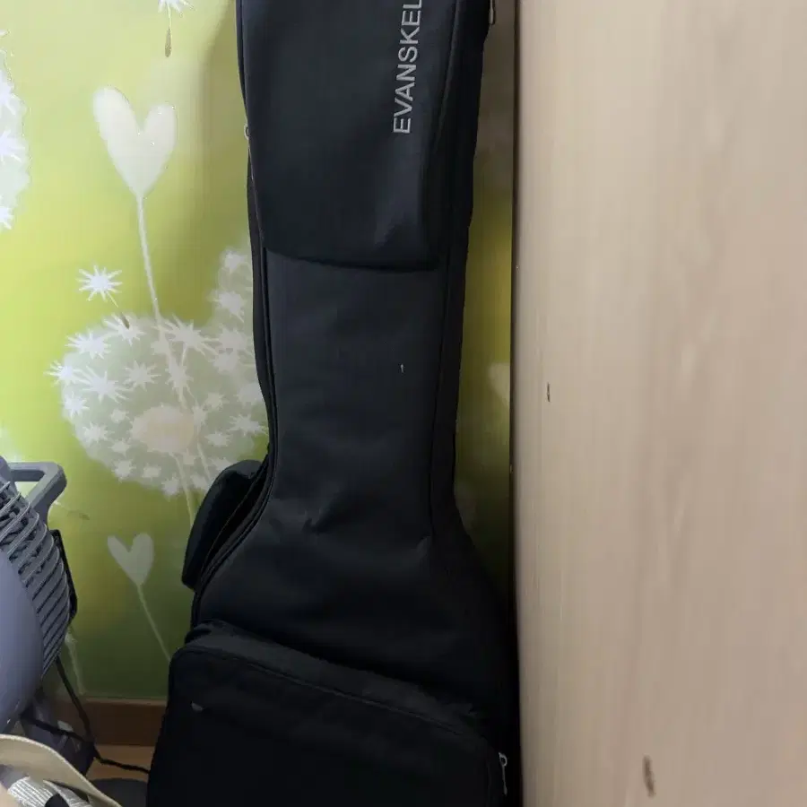 Epiphone 339 세미할로우 일렉기타+Evanskelley 기타 케