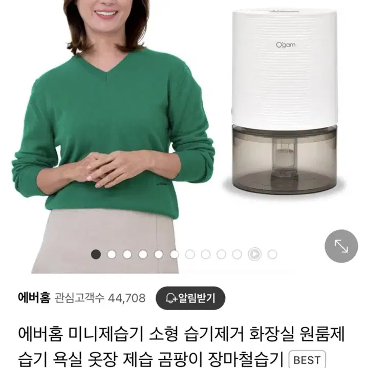 에버홈 제습기