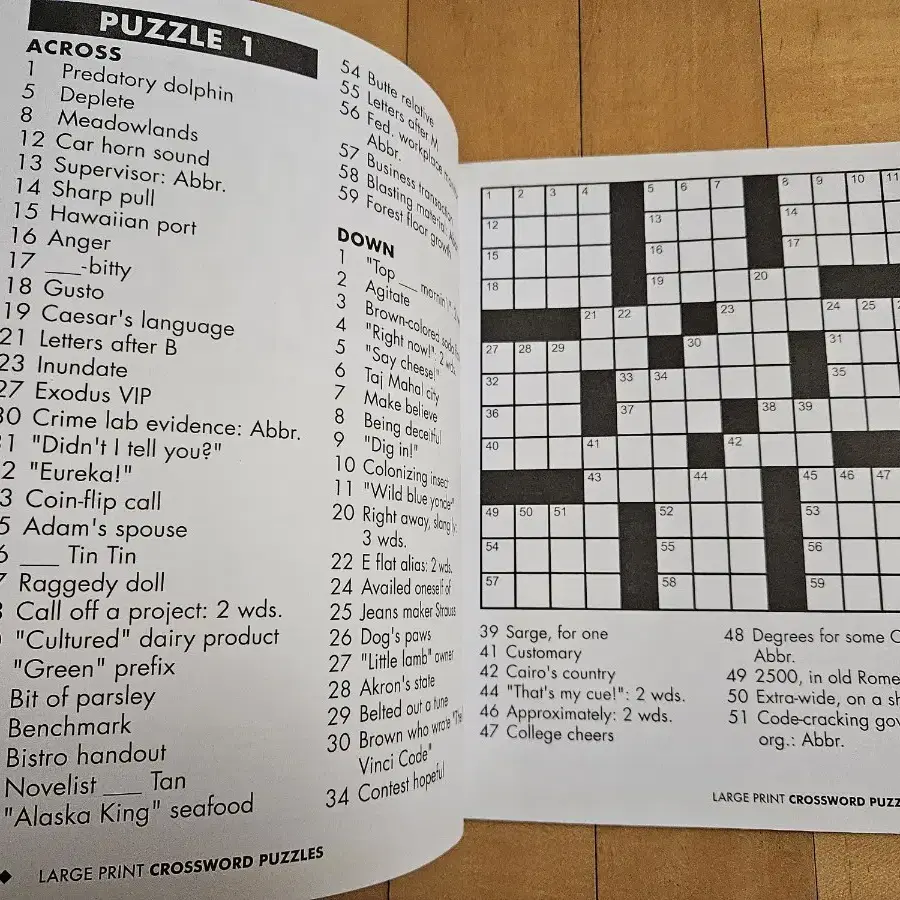 영어 원서 crossword puzzles