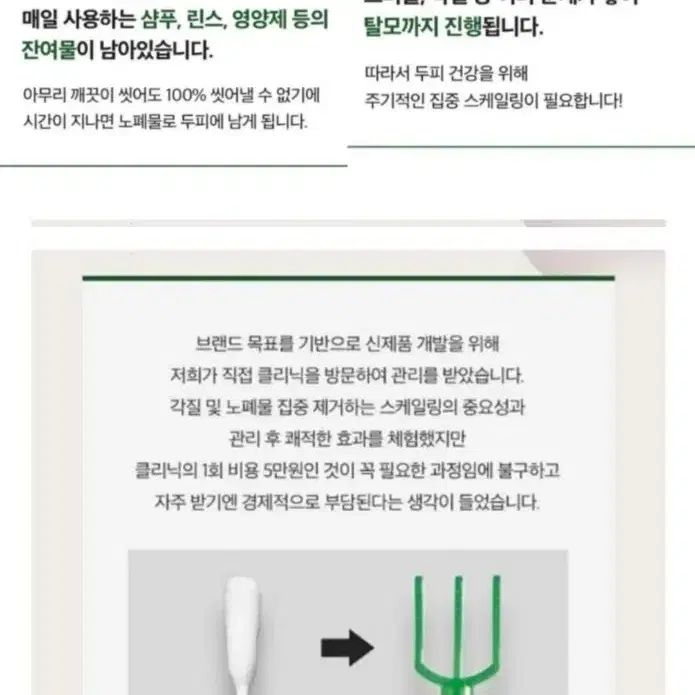 두피스케일링