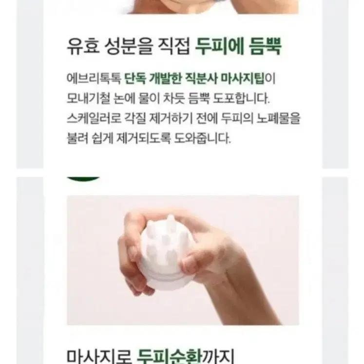 두피스케일링