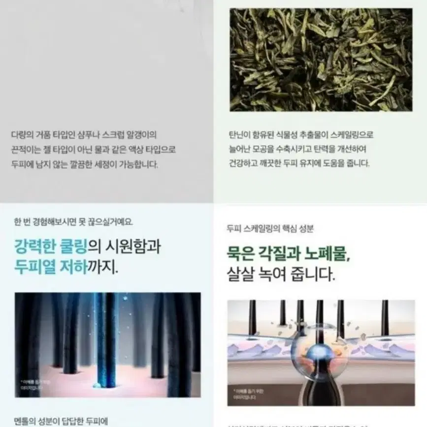 두피스케일링