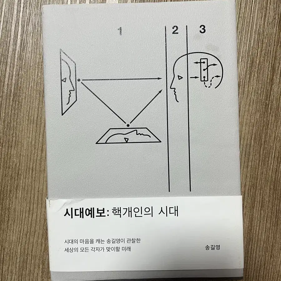 (도서) 핵개인의 시대