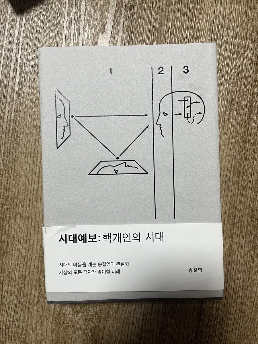 (도서) 핵개인의 시대