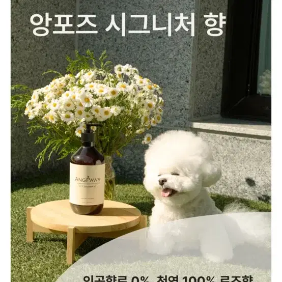 앙포즈 강아지 고양이 샴푸 새제품 (원가 29,000원)