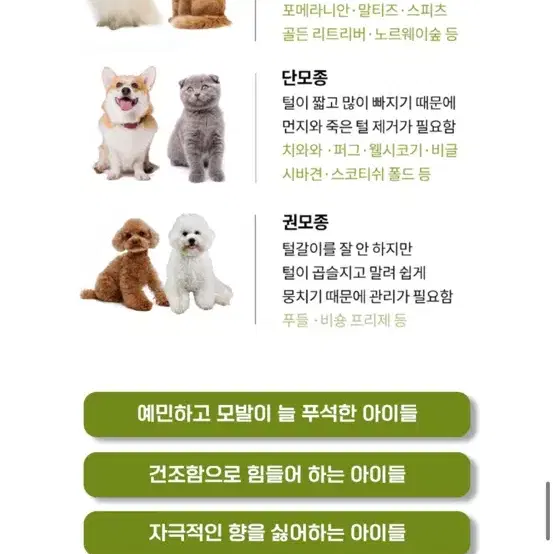 강아지 고양이 샴푸 샴푸하개 새제품