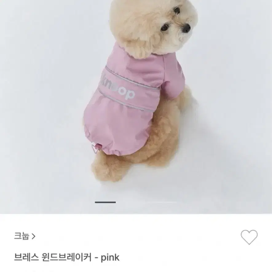 크눕 강아지 바람막이 L