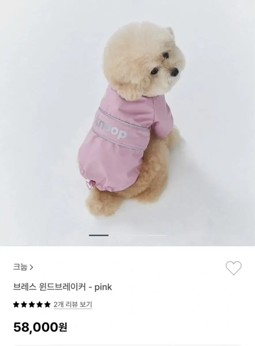 크눕 강아지 바람막이 L