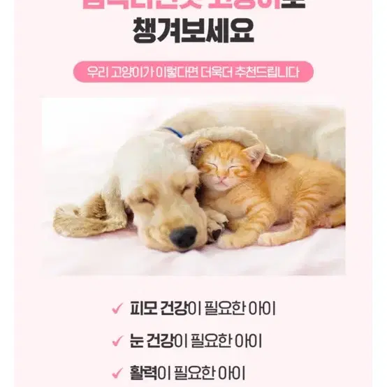 고양이 영양제 눈 피모 면역력 임펙타민펫 고양이 30캡슐