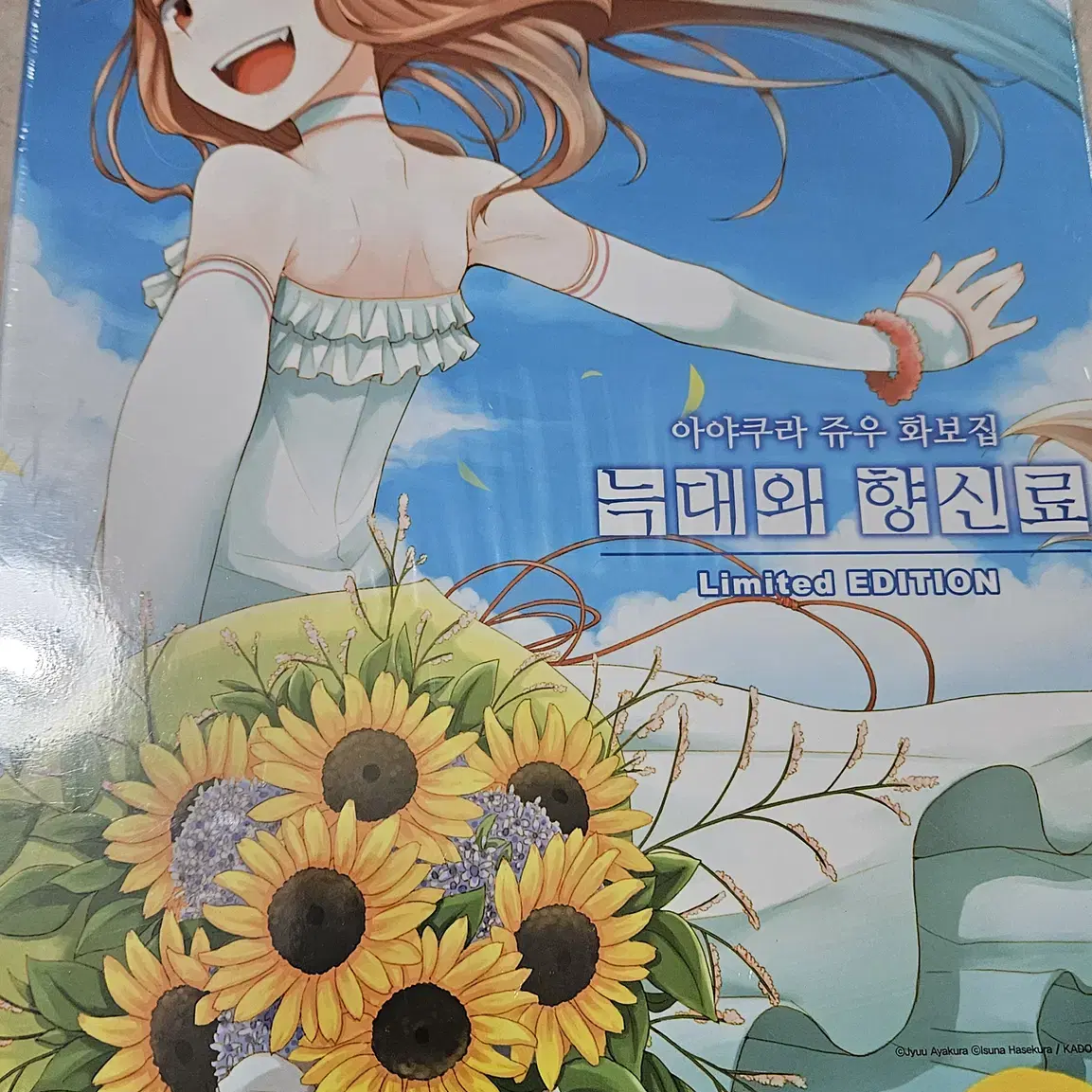 늑대와 향신료 화집 한정판 팝니다