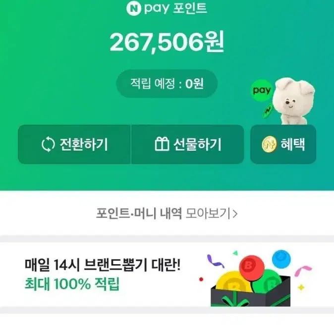 네이버페이 70000원 60000원에 팝니다