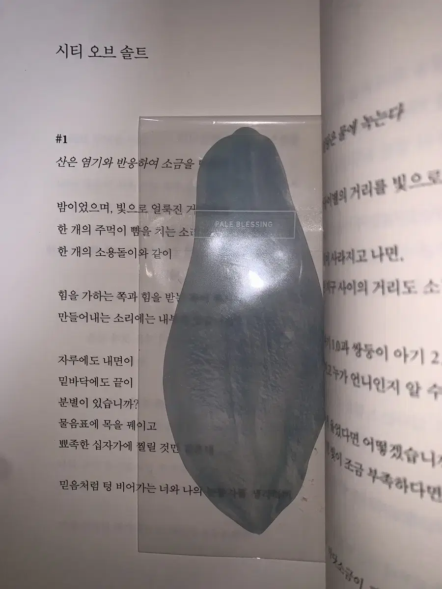 이옥토 옥토 목련 과일 책갈피