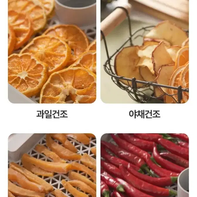 중고 리큅식품건조기 6단 작동잘됩 무료배송