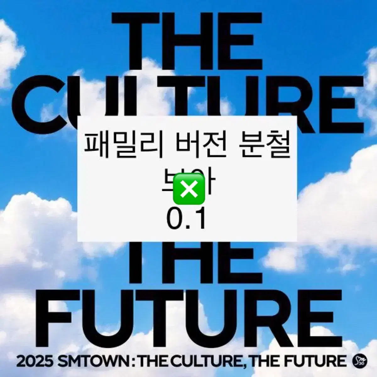 2025 SMTOWN 에스엠타운 패밀리 버전 스마트 앨범 보아 포카 분철