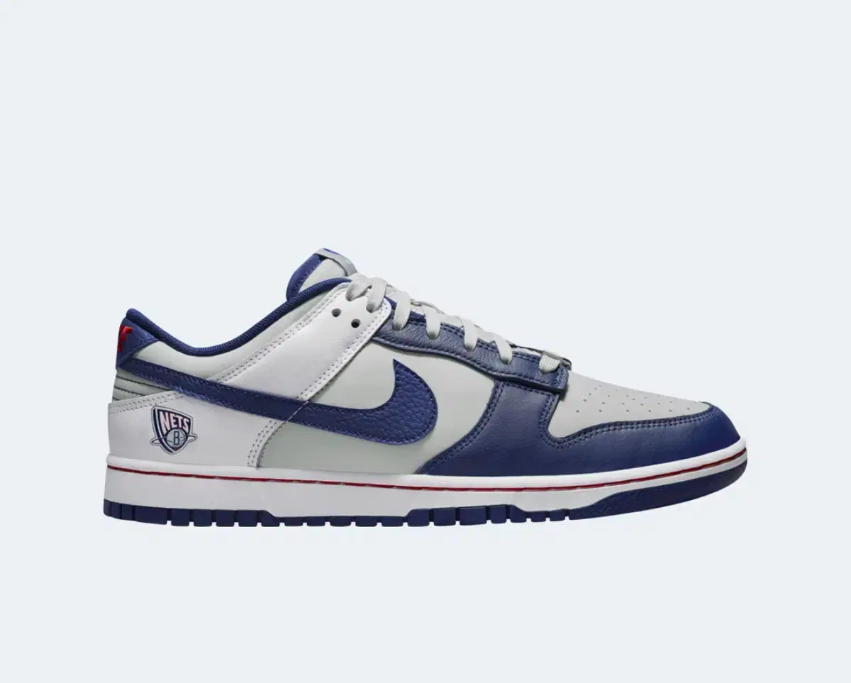 [295] Nike Dunk Low Retro EMB Nets Edition