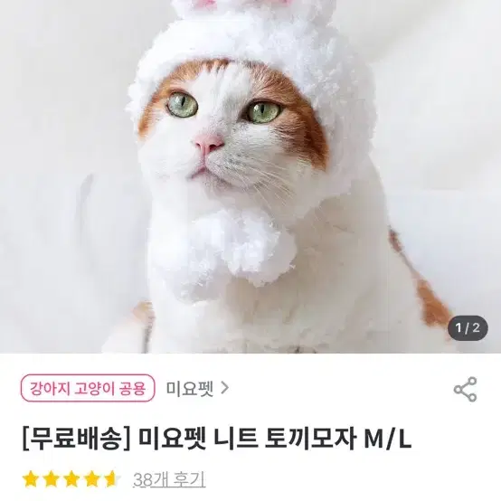 강아지고양이토끼,트리모자