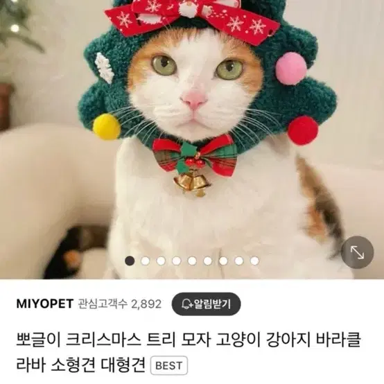 강아지고양이토끼,트리모자