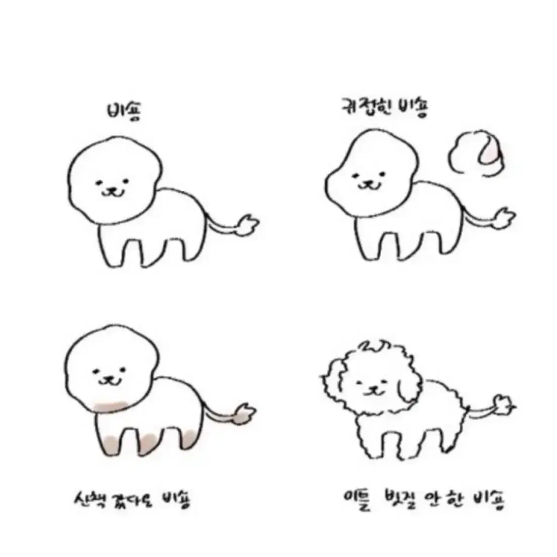 홀터넥 레이스 랩 비키니 3pc