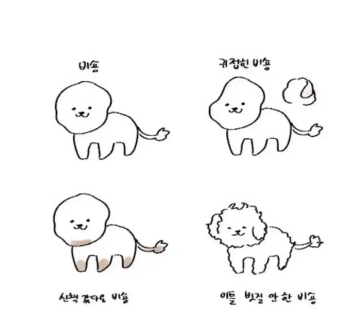 홀터넥 레이스 랩 비키니 3pc