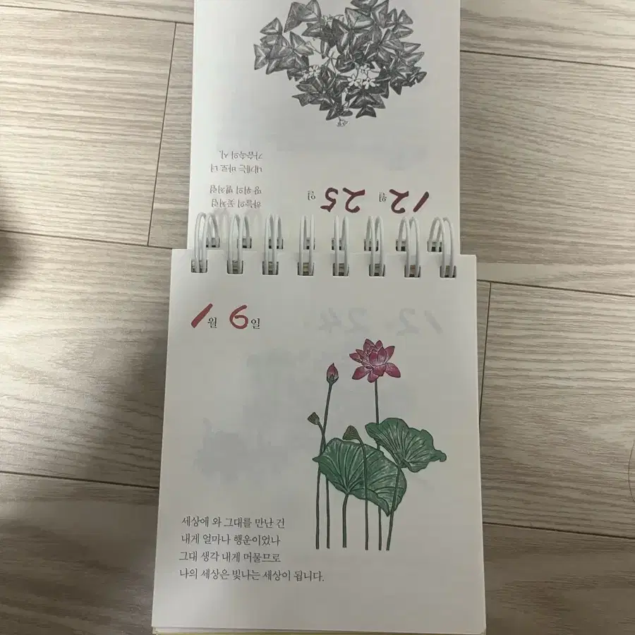 나태주 일력달력