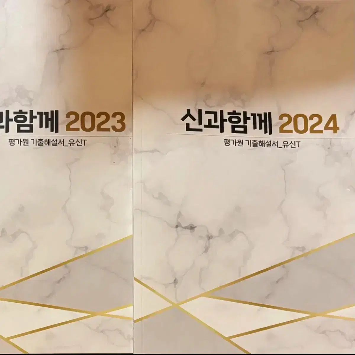 2025 시대인재 국어 유신t 자료