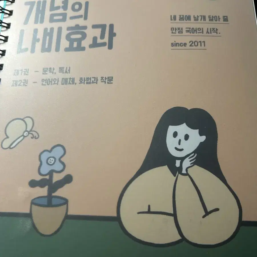 (일괄) 윤혜정의 개념의 나비효과 2024 2025 워크북