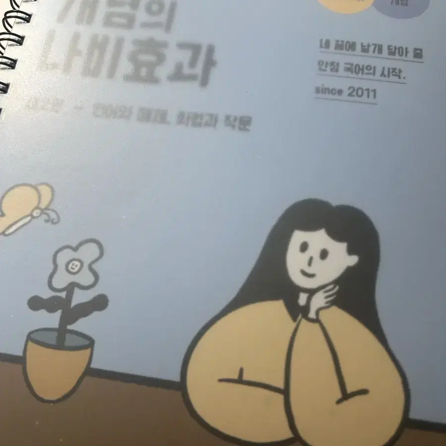 (일괄) 윤혜정의 개념의 나비효과 2024 2025 워크북