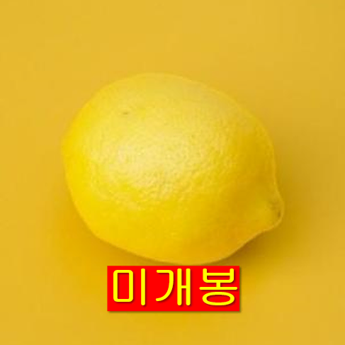 레몬 (Lemon) - Half Life (미개봉, CD)