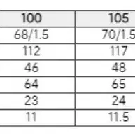 코오롱스포츠 구스다운 패딩 빅사이즈