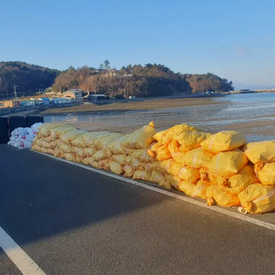 봄 쭈꾸미 단지  주꾸미 소라방