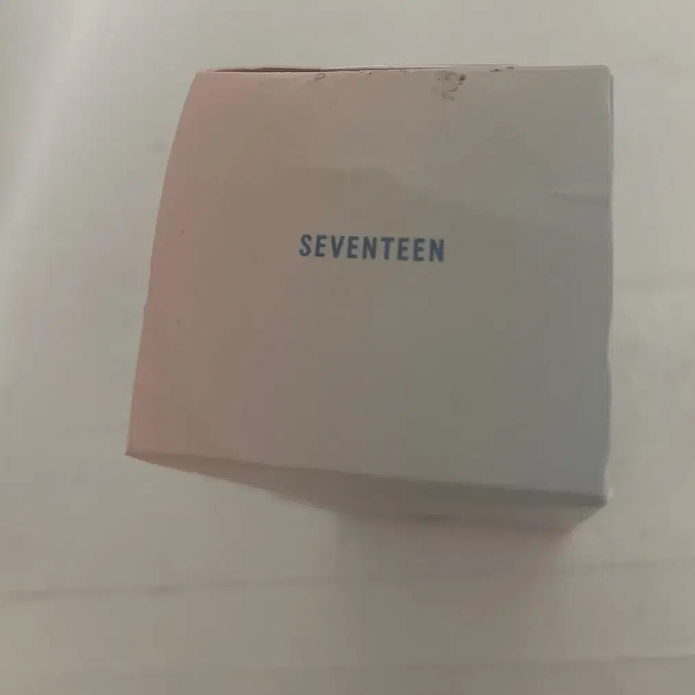 세븐틴 미니키링 급처