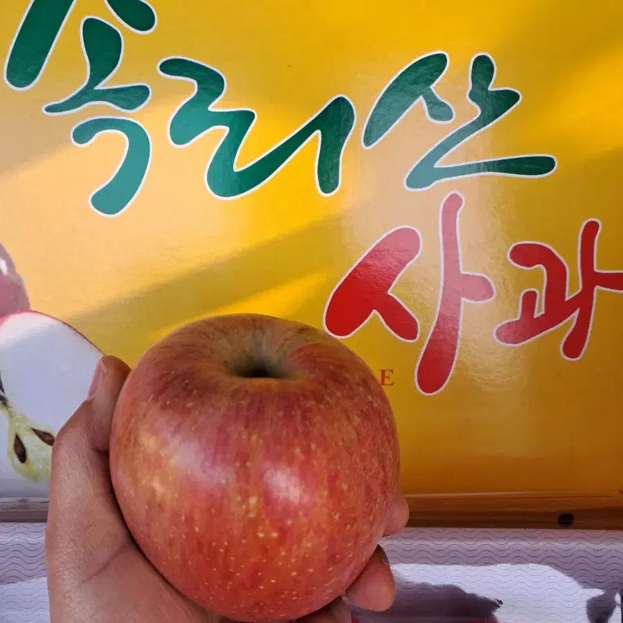 선물용 사과5kg(14~16과)무료배송