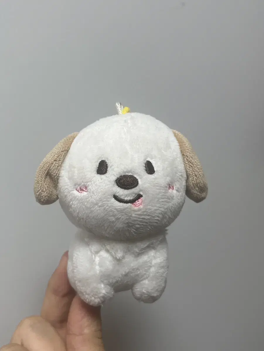 멍룡이 라이즈 인형