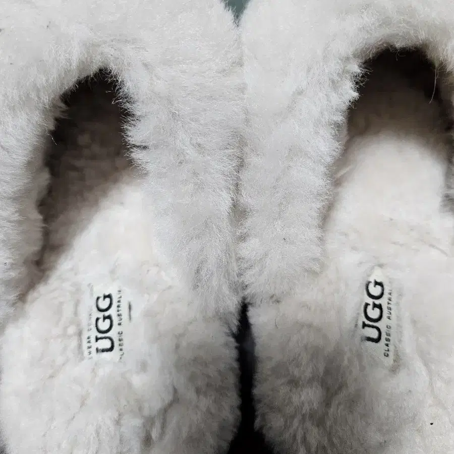 어그 Ugg 슬리퍼