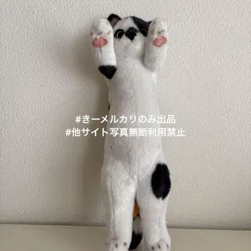귀여운 동물원 냥코 푸치 화이트 냥코 화이트 고양이 화이트 냥코