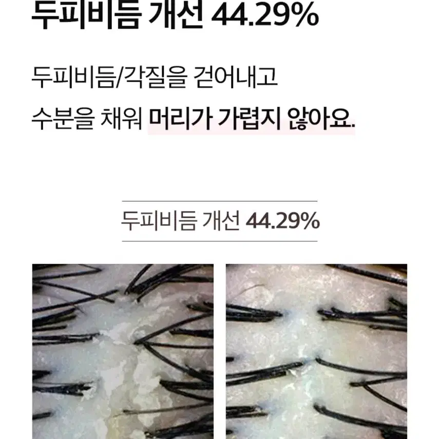 (새상품) 메디올 샴푸 피치 블라썸 480ml