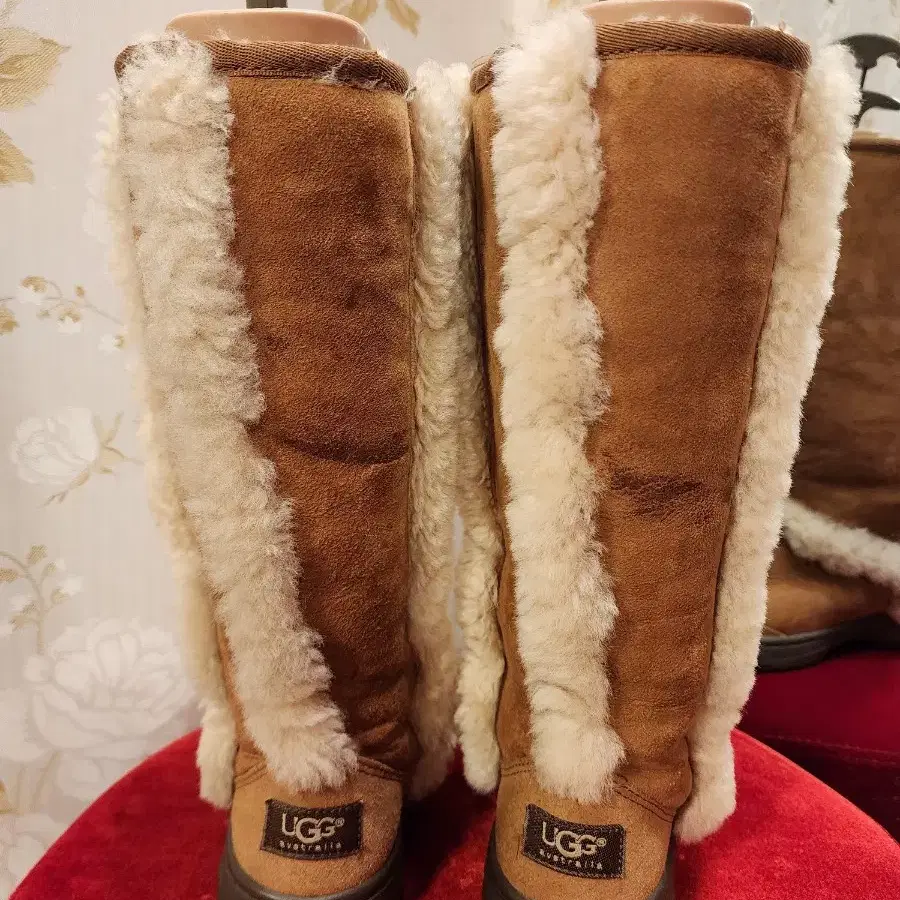 UGG 선버스트 톨사이즈 W6