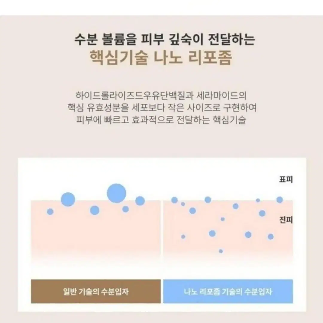 세라마이드 락토 크림