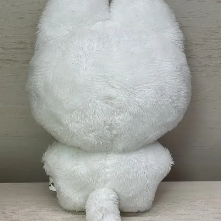 샤이니 키 10cm 인형 키캣