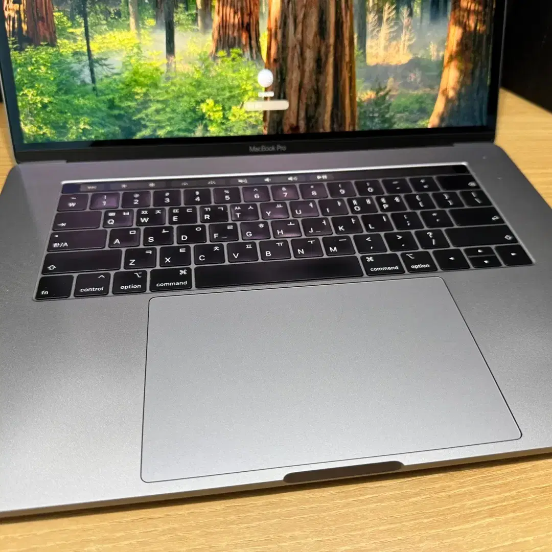 맥북 MacBook Pro 15(i7, 2018년) 4