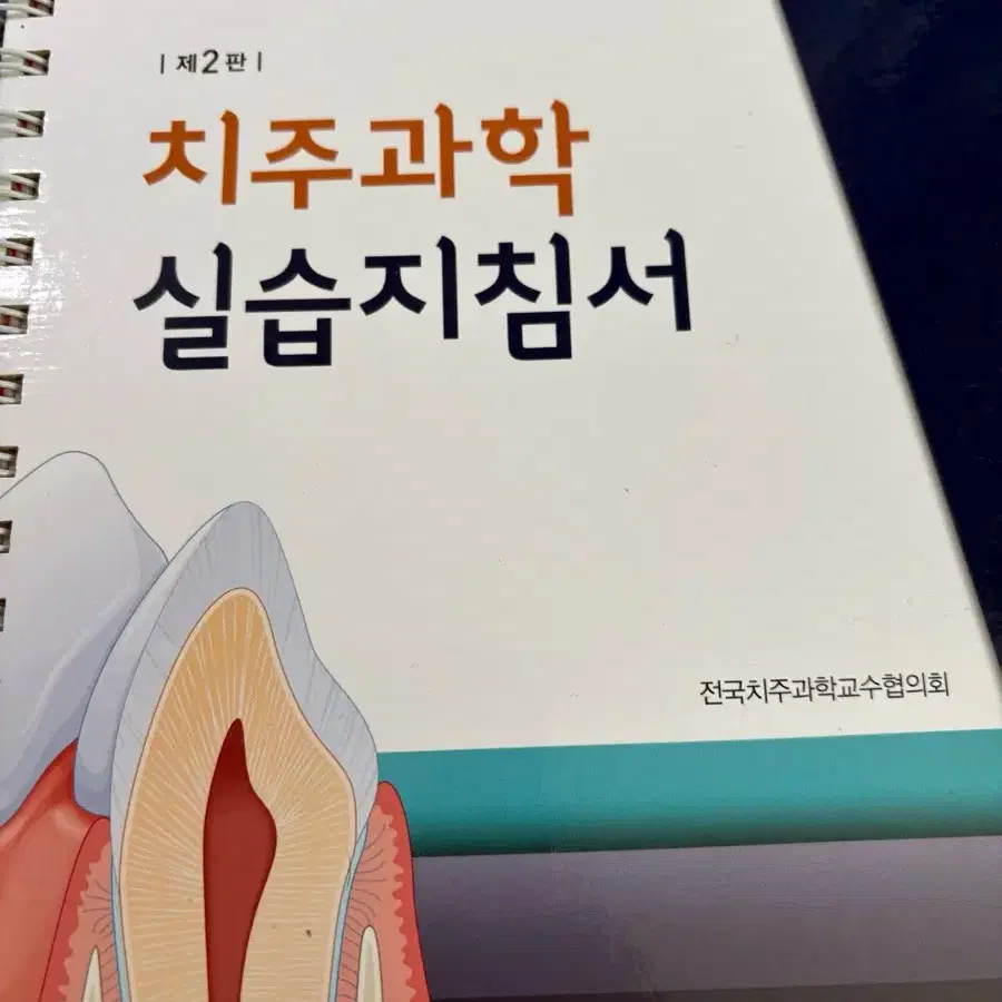 치의학과 or 치위생과 실습서 팝니다.