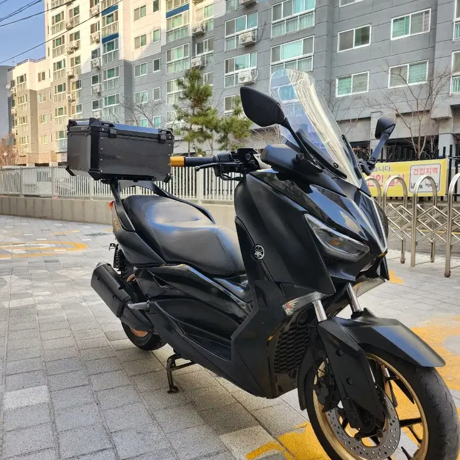 XMAX300 21년 떼르 구변