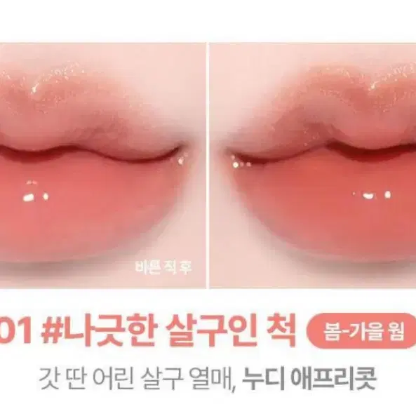 릴리바이레드 릴바레 앙큼 라이어 코팅 틴트 01 나릇한 살구인 척