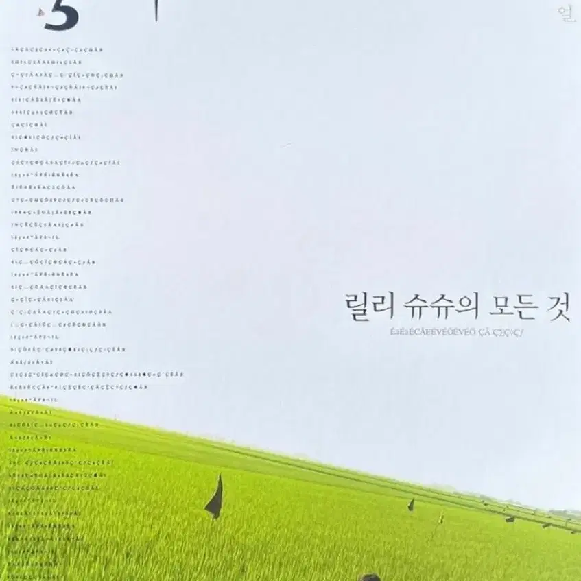 릴리슈슈의 모든것 A3 포스터 팝니다