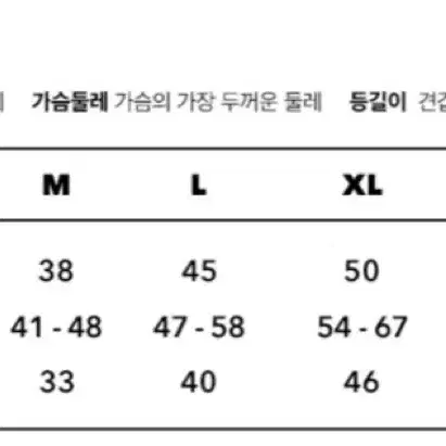 강아지 베이컨박스 패딩