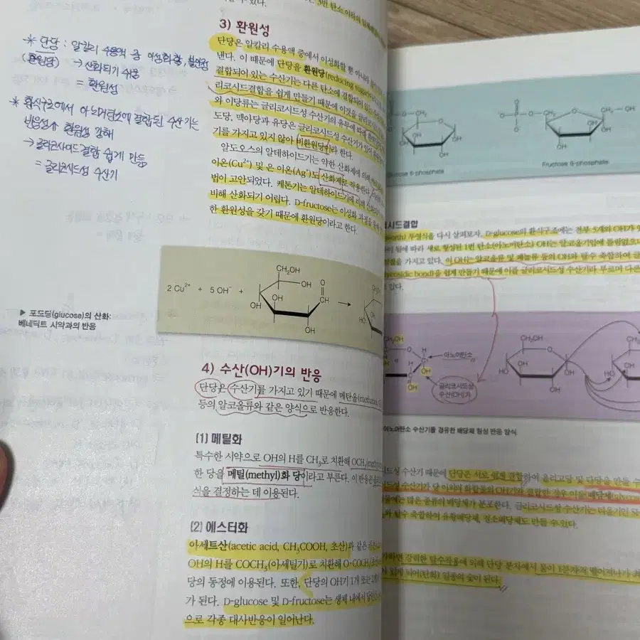 식품화학 길라잡이