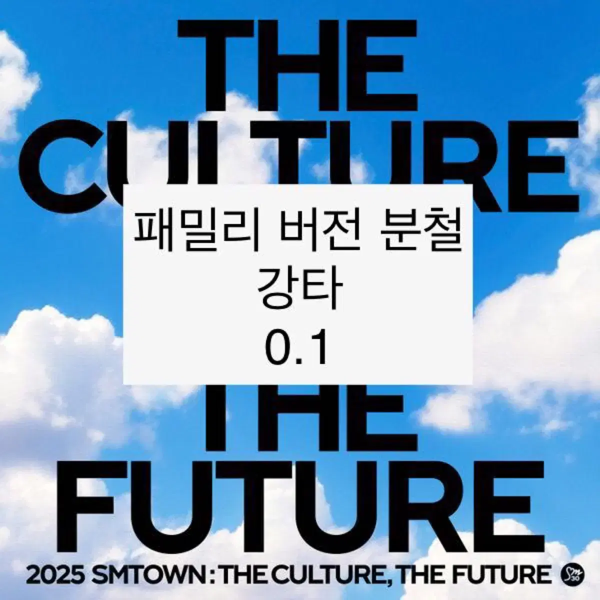 2025 SMTOWN 에스엠타운 패밀리 버전 스마트 앨범 강타 분철