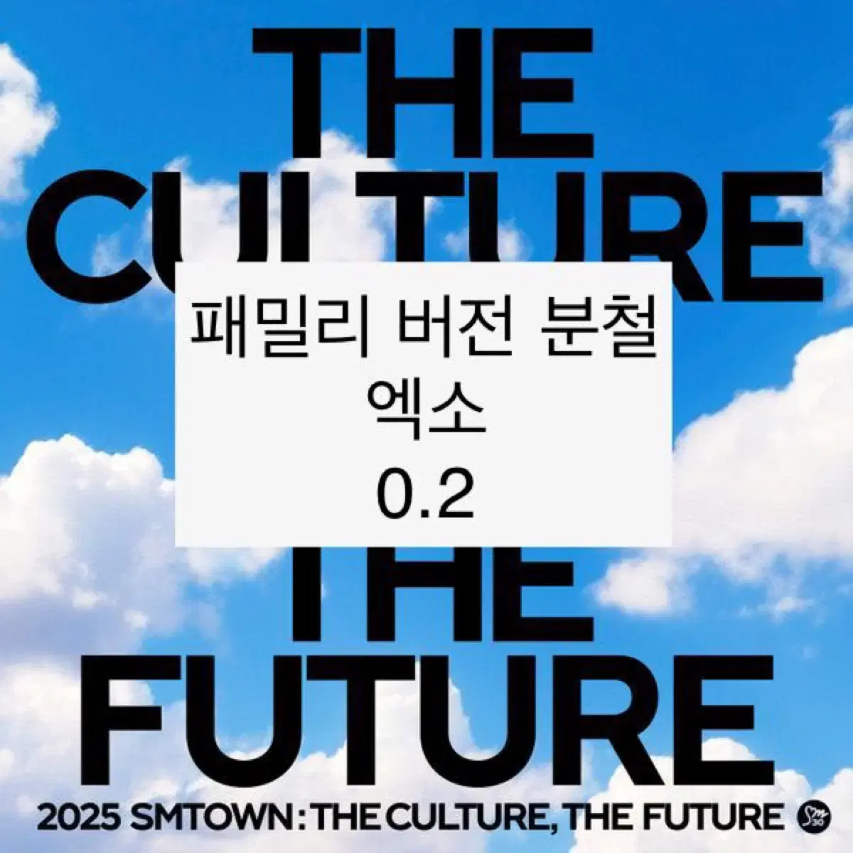 2025 SMTOWN 에스엠타운 패밀리 버전 스마트 앨범 엑소 포카 분철